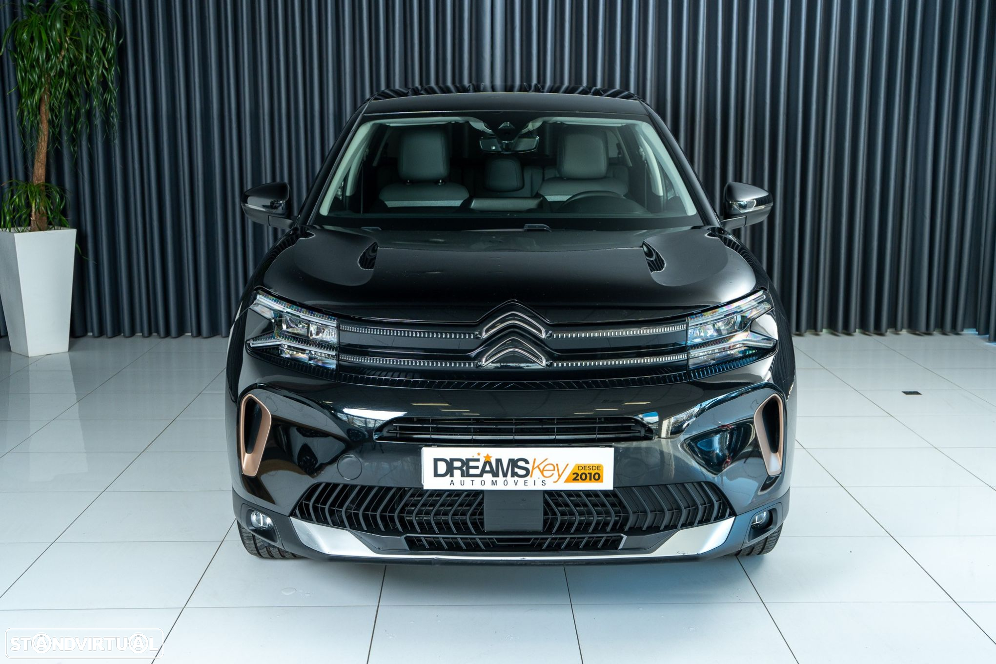 Citroën C5 Aircross 1.6 Hybrid C-Series e-EAT8 - 2