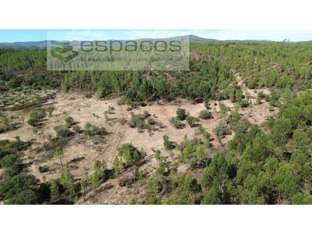 Vale da Moura - Sarzedas - Grande imagem: 4/12