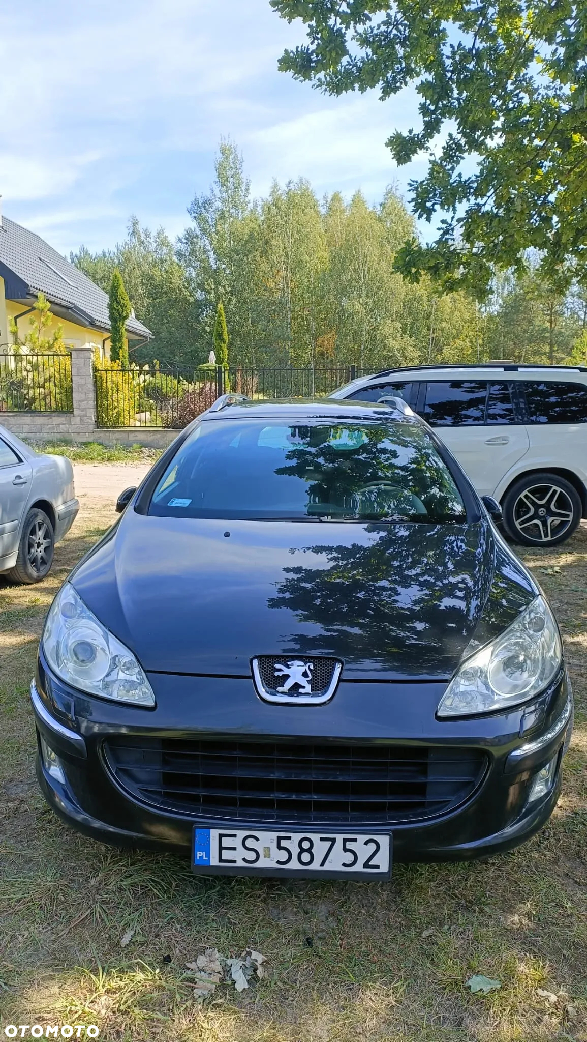 Peugeot 407 - 4