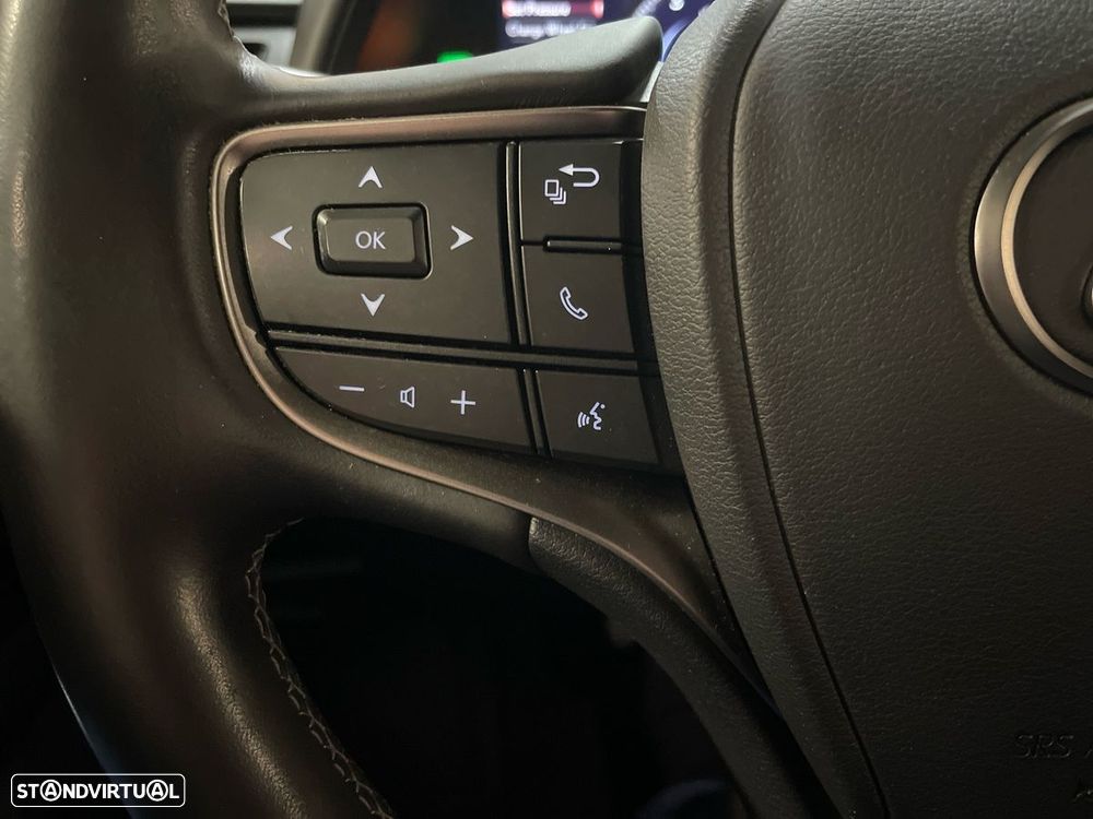 Lexus UX 250h Special Edition (LCA) - 16