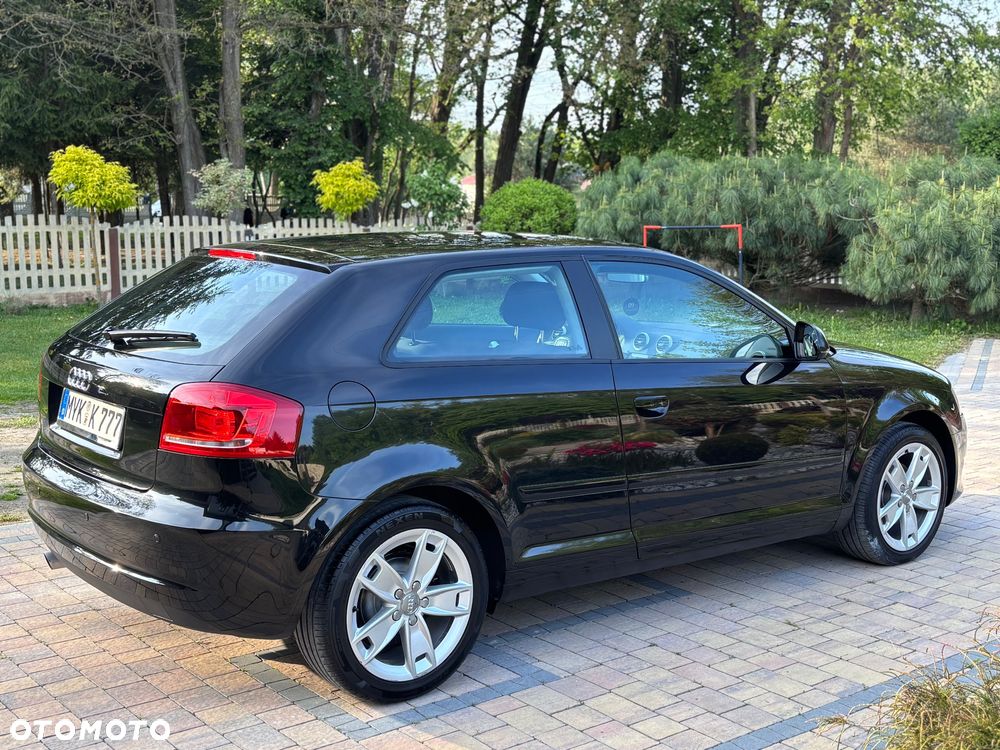 Audi A3 3-drzwiowe 1.6 Ambition - 13