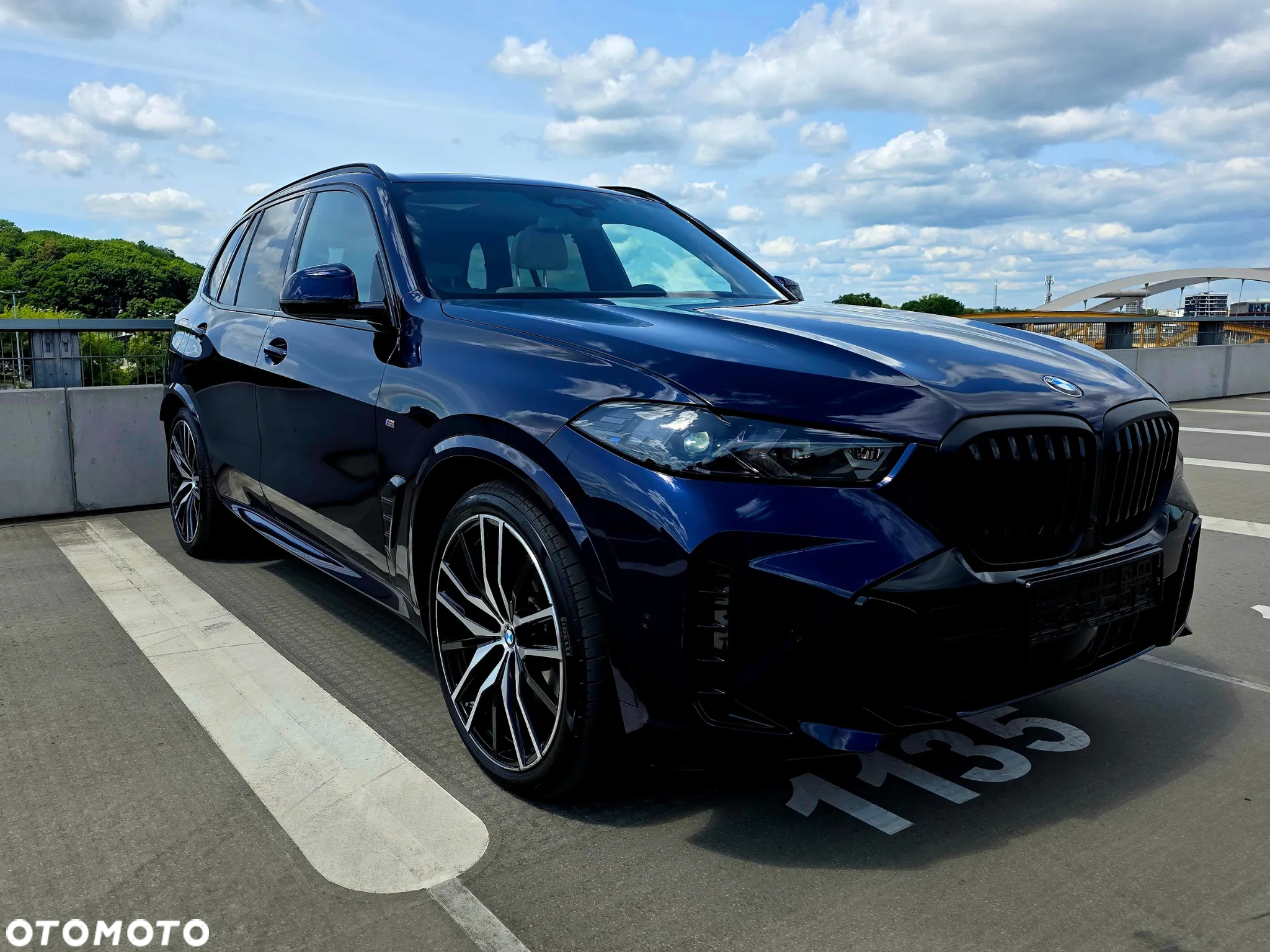 BMW X5 xDrive30d sport - 2