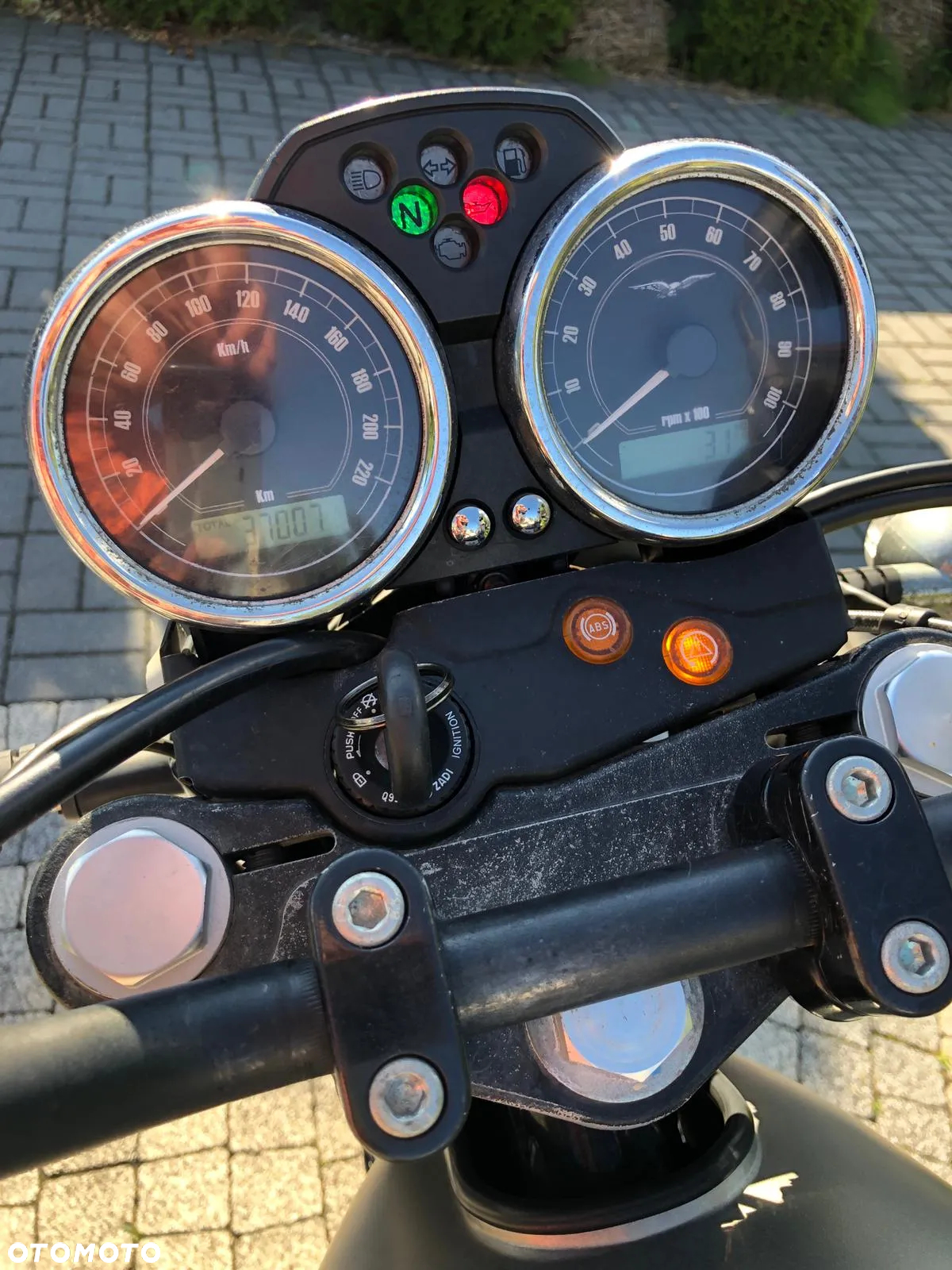 siページ ?img=/thumbs/FEB06972.jpg