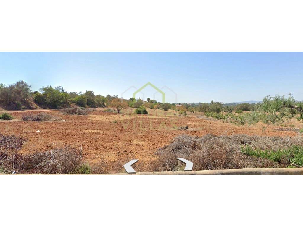 Terreno Rústico totalmente Plano em Pechão - Grande imagem: 2/3