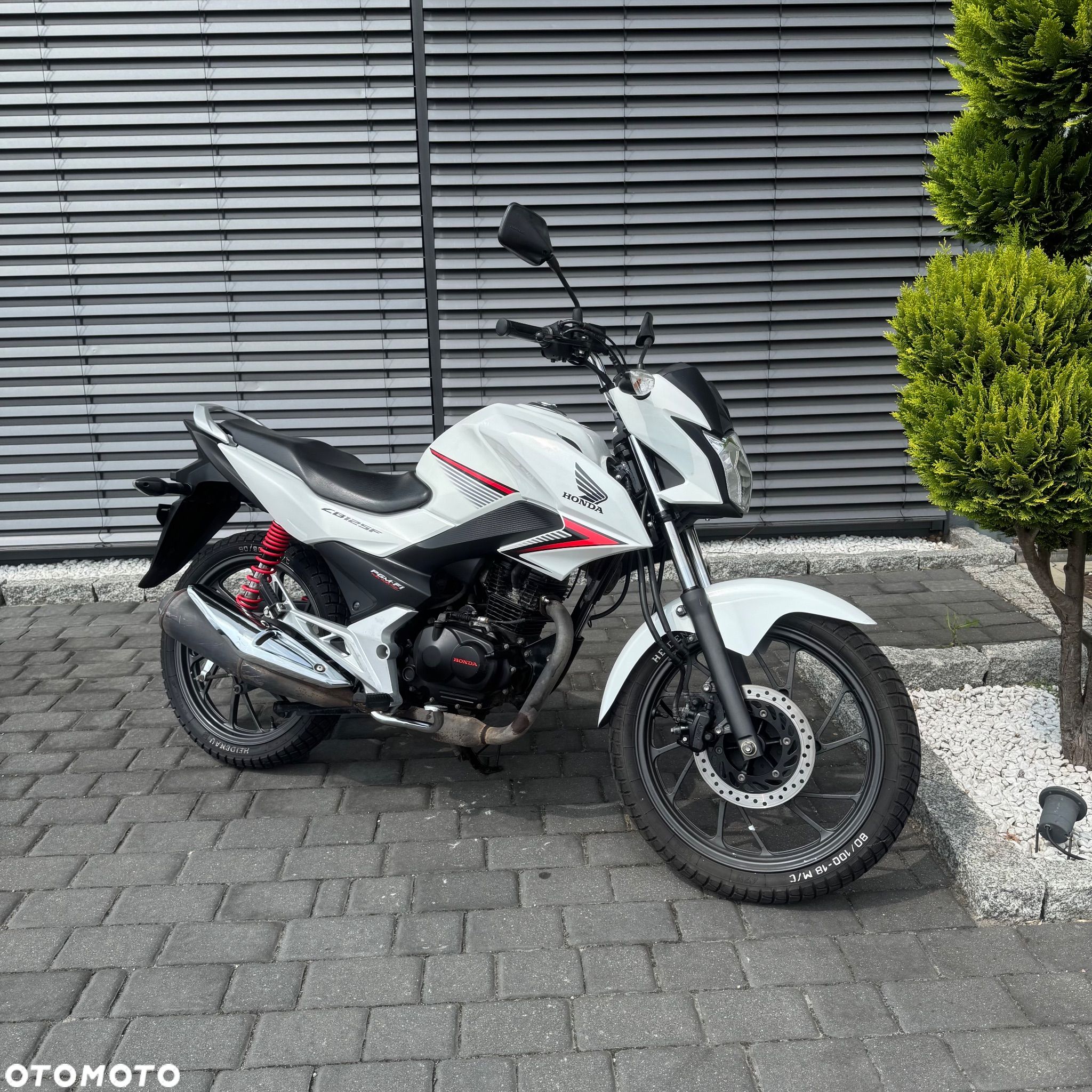 Honda CBF - 1