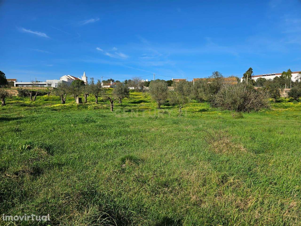 Terreno Rústico à Venda em Montalvo - Oportunidade Única - Grande imagem: 3/6
