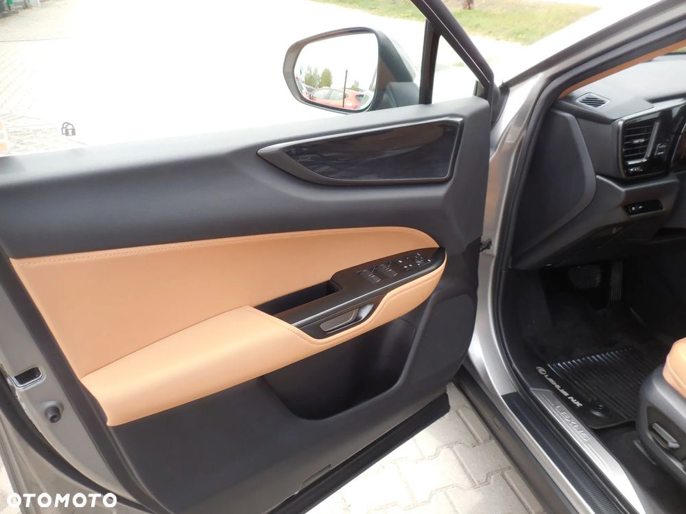 Lexus NX - 24