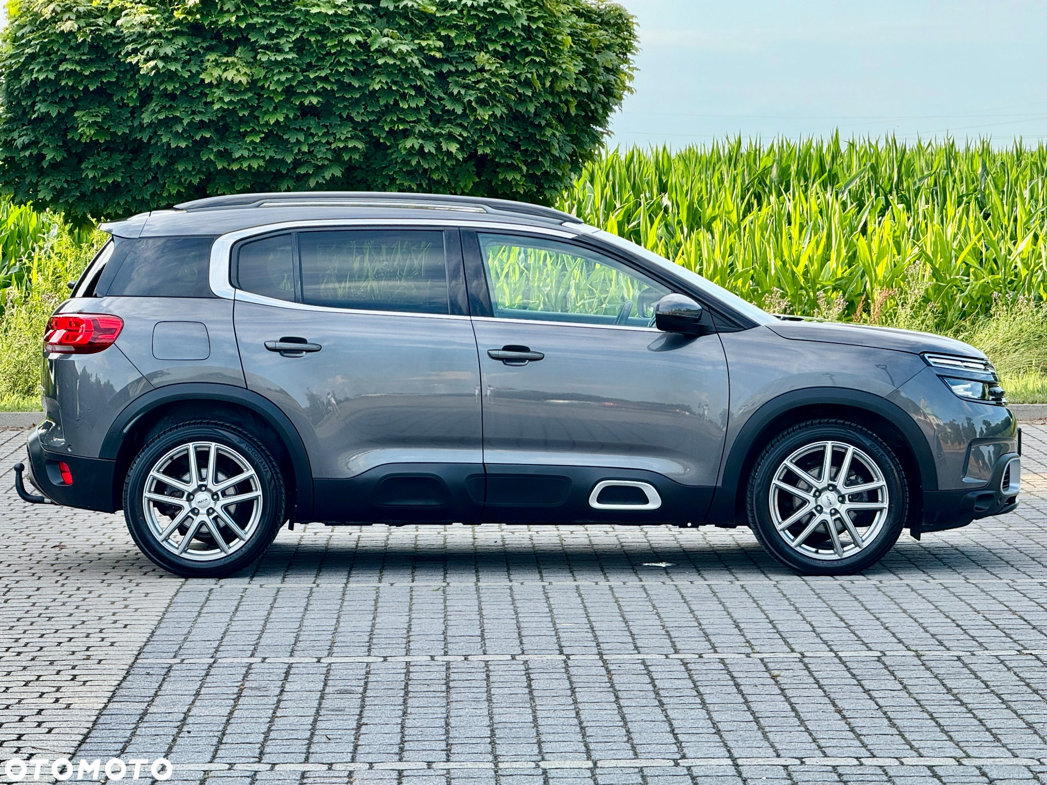 Citroën C5 Aircross BlueHDI 130 S&S EAT8 SHINE - 4
