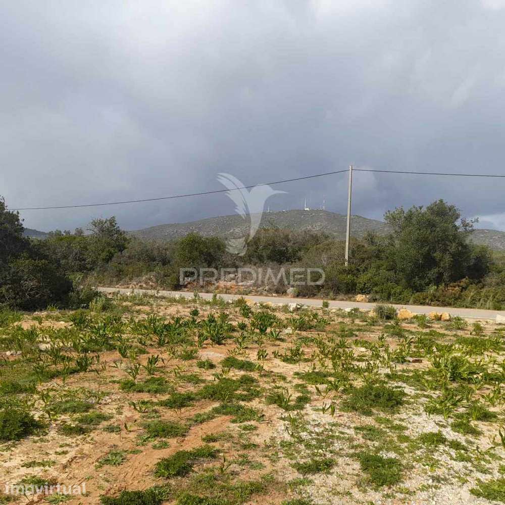 Terreno Rustico  entre Estói e Moncarapacho - Grande imagem: 3/11