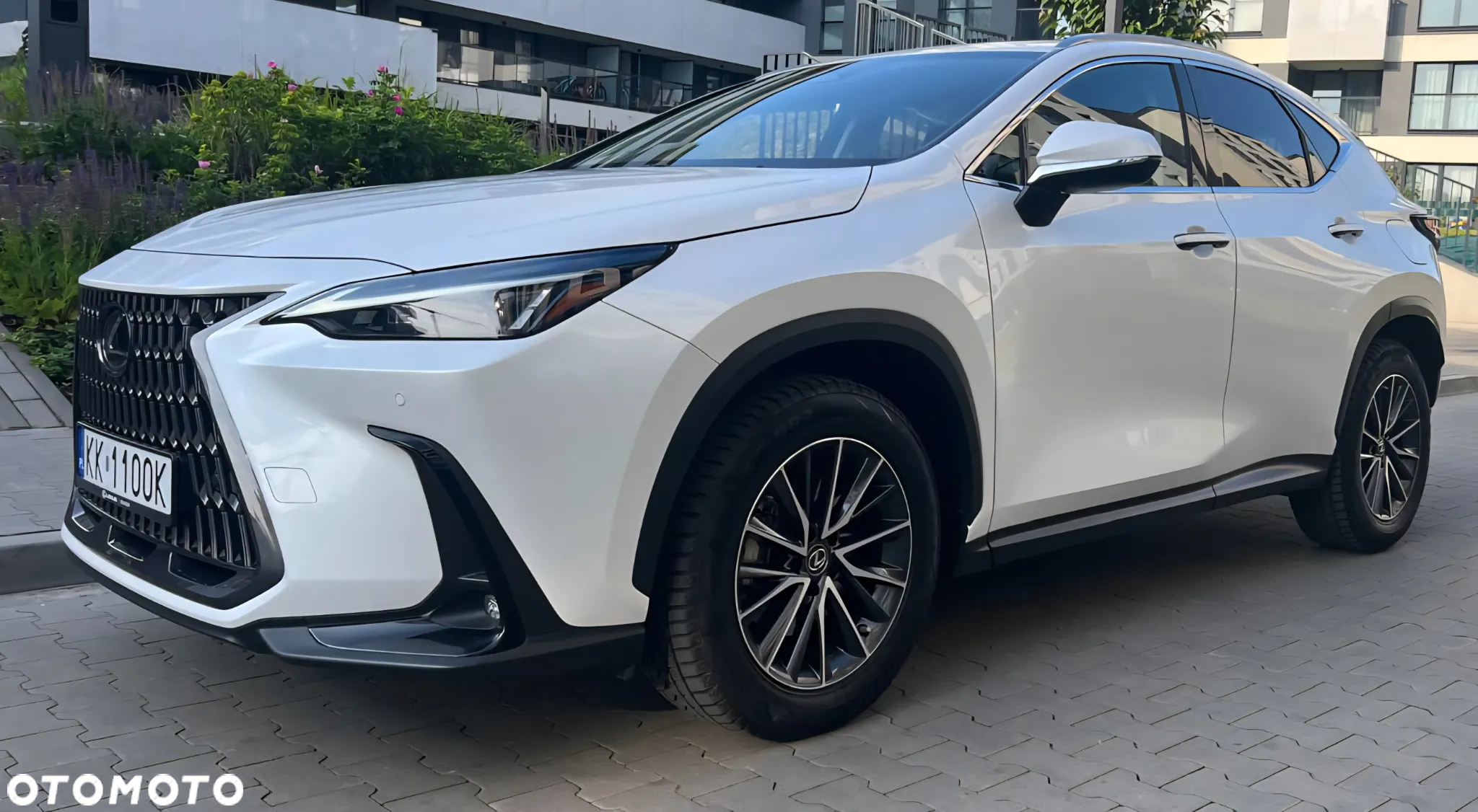 Lexus NX - 13