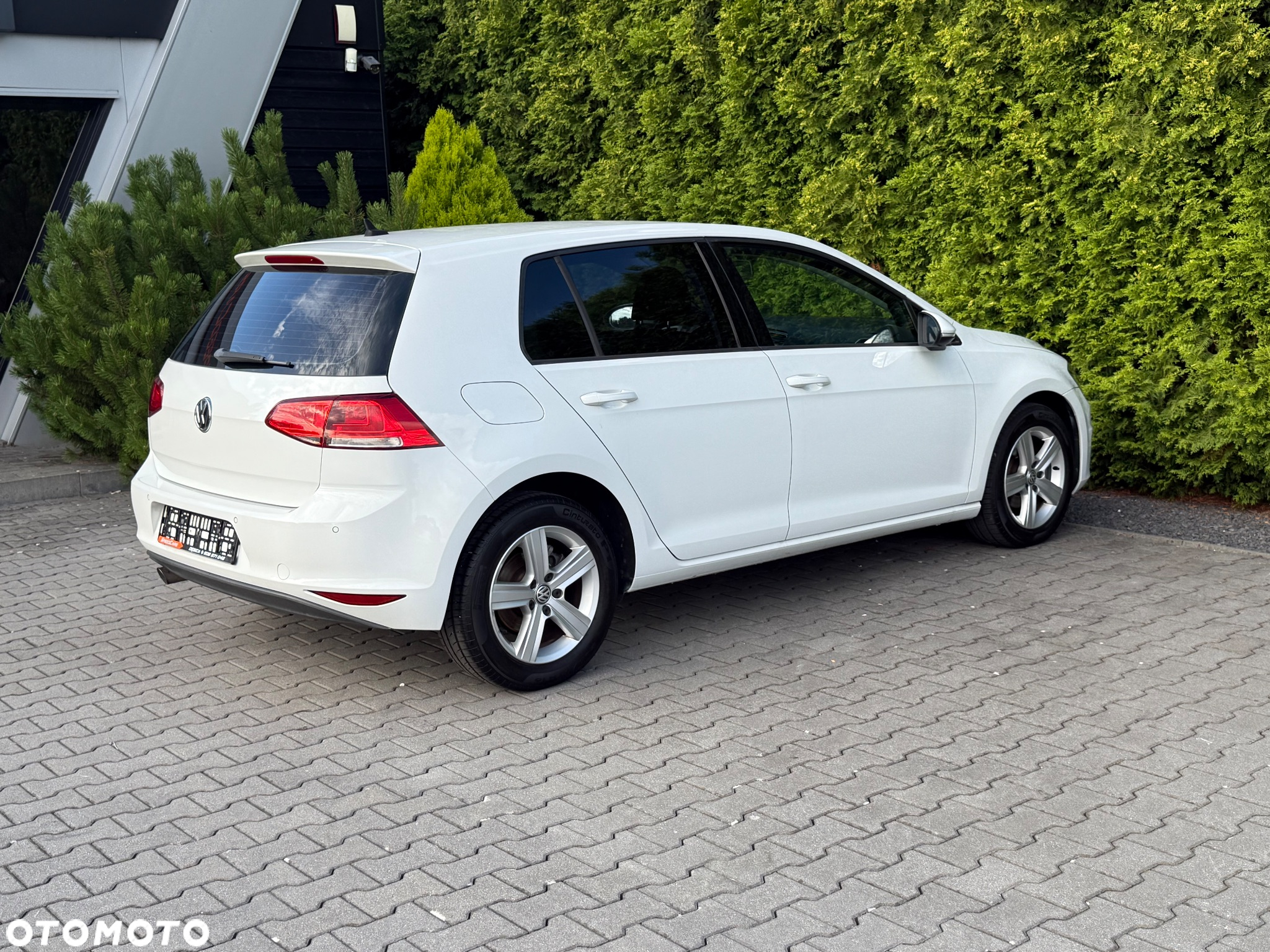 Volkswagen Golf - 14