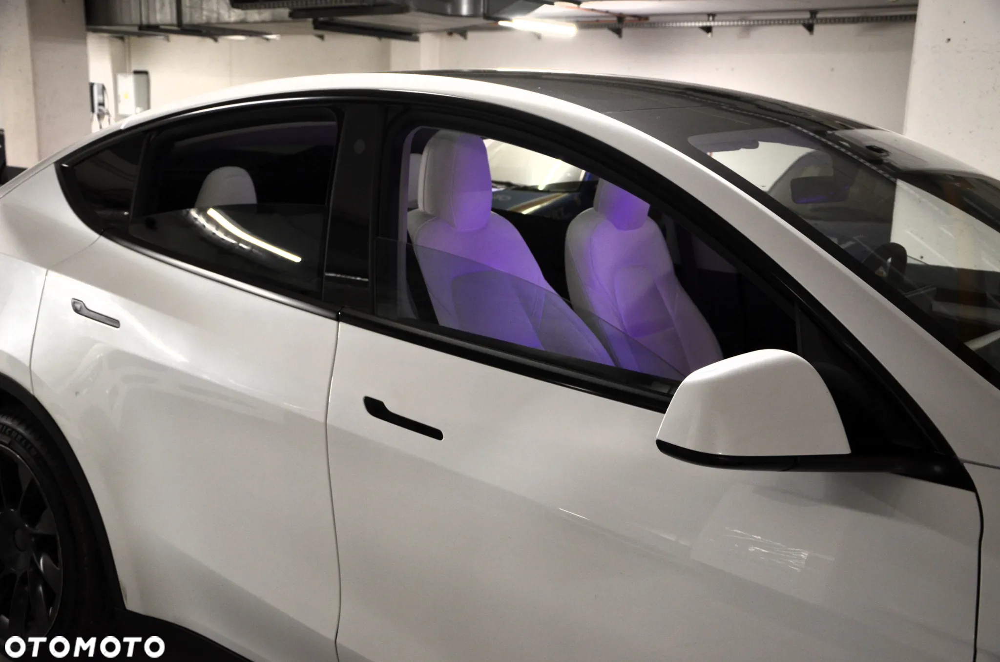 Tesla Y RWD - 19