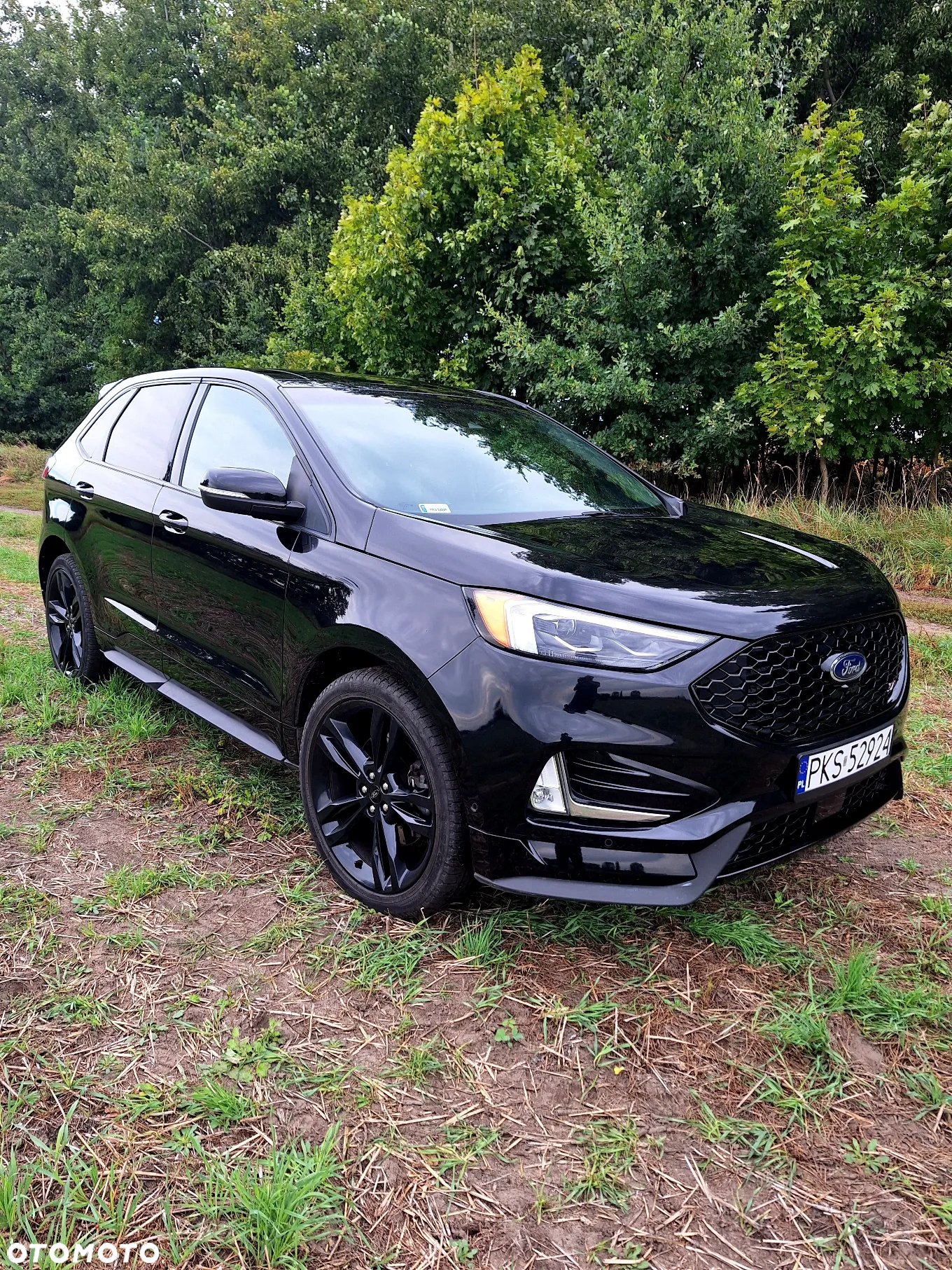 Ford Edge - 15