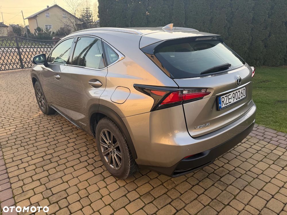 Lexus NX - 4