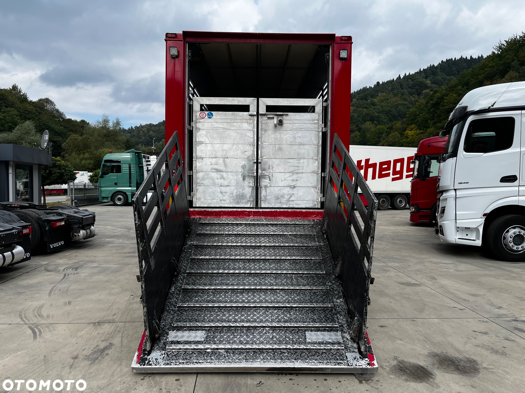 DAF XF 105.460 Euro 5 // Manual // Retarder // Do Żywca / Bydła / Zwierząt / - 31
