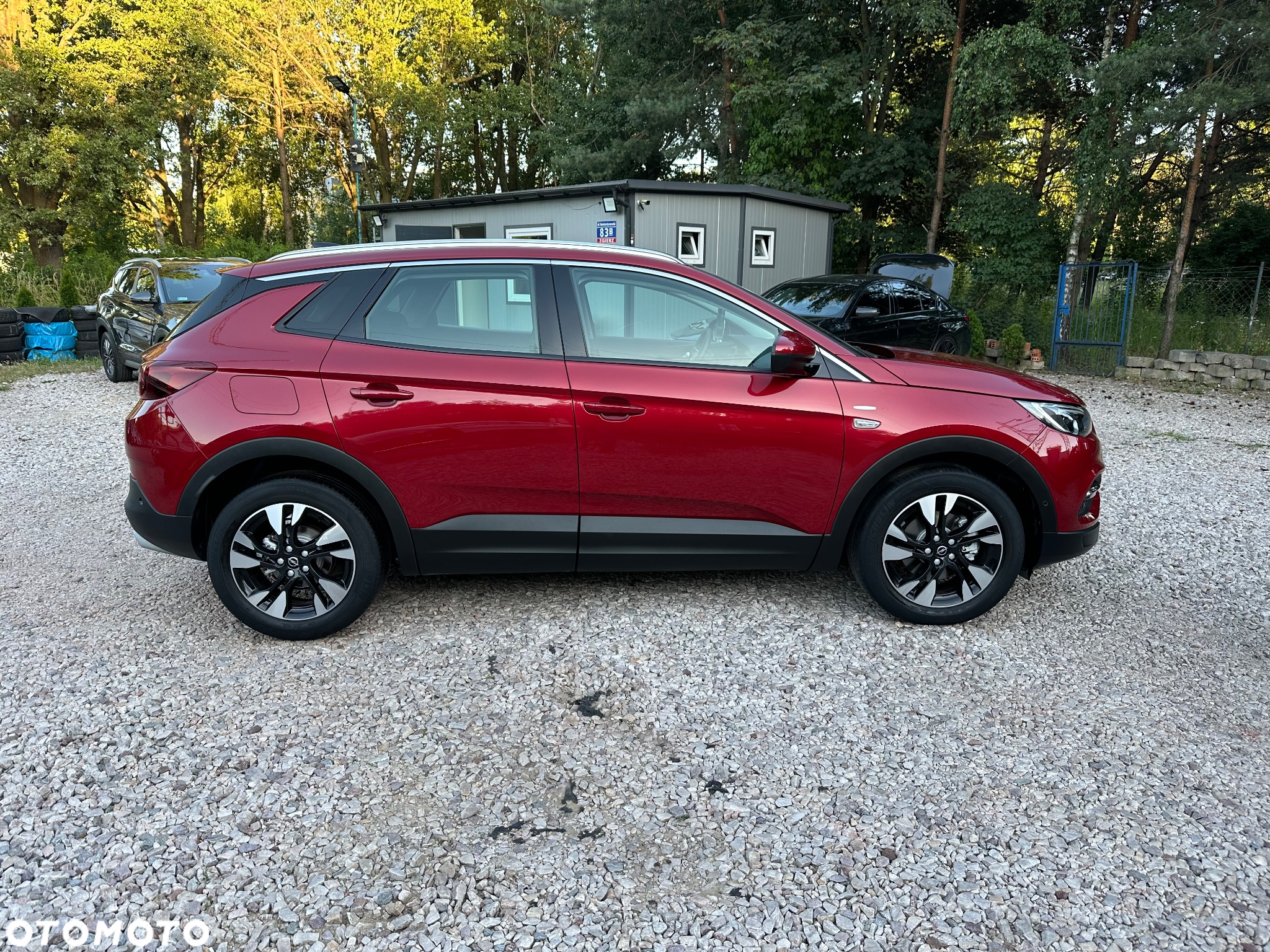 Opel Grandland X 1.2 T GPF Edition Business Pack S&S - 8