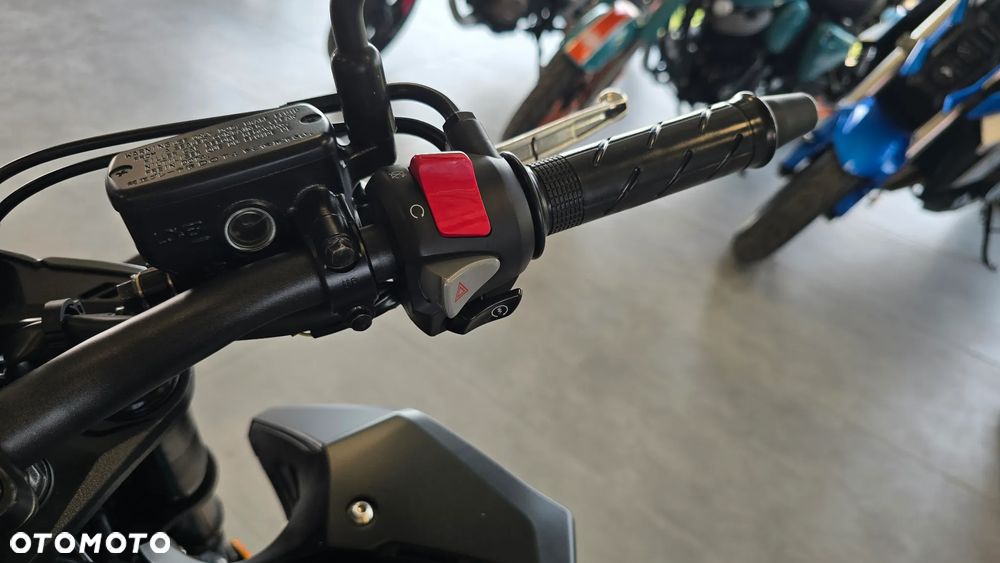 Honda Hornet - 14
