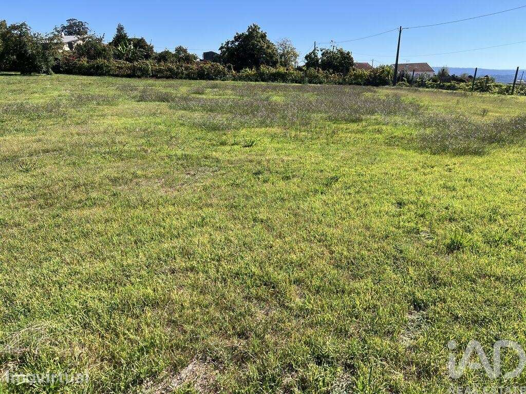 Terreno para construção em Serrazes - Grande imagem: 2/15