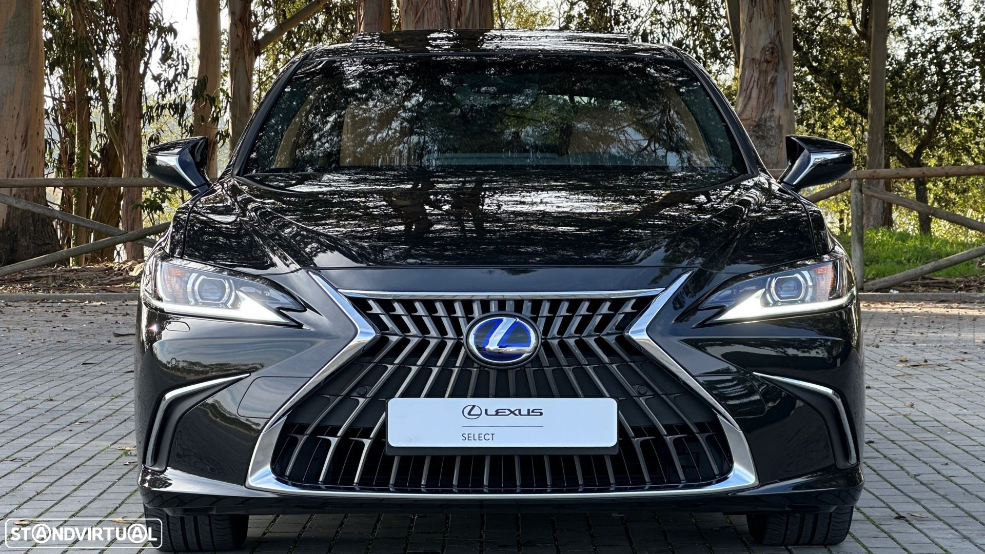 Lexus ES 300h Special Edition - 2