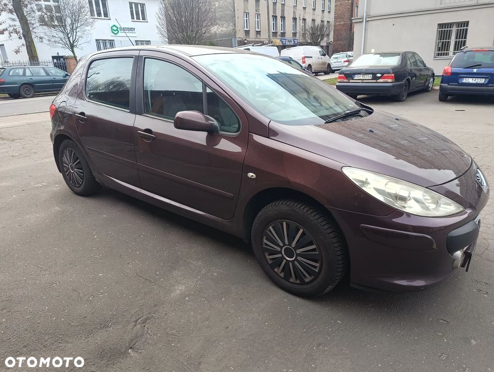 Peugeot 307 1.4 Oxygene - 5