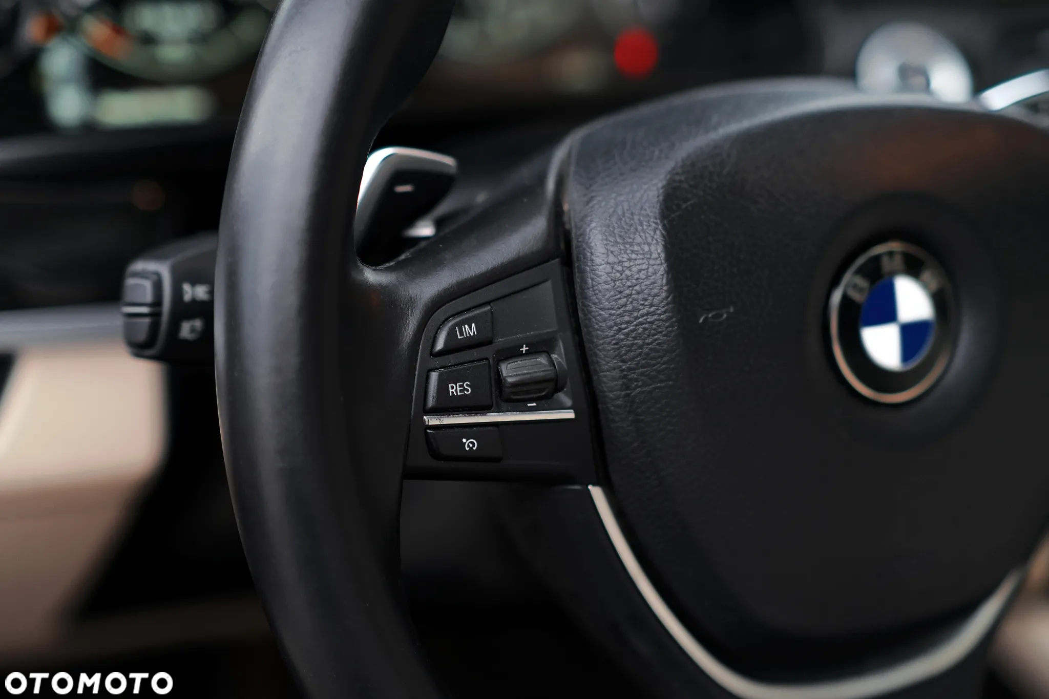BMW Seria 5 530d xDrive - 29