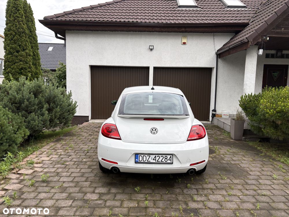 Volkswagen Beetle - 6