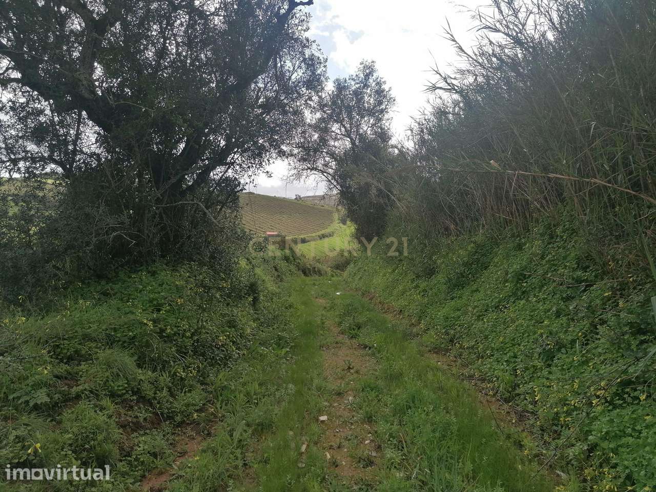 Terreno Rústico - Serra do Socorro - Grande imagem: 5/8