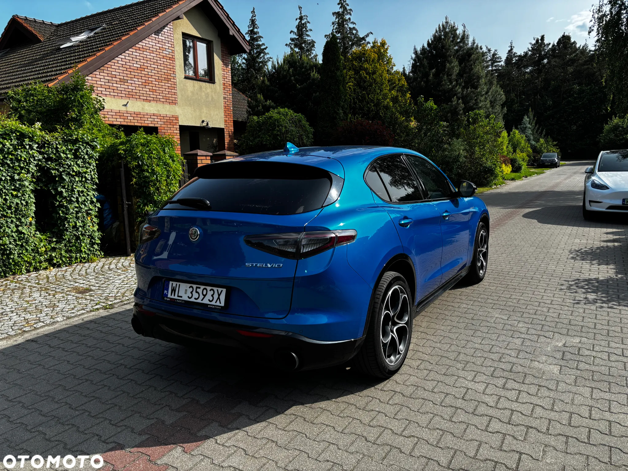 Alfa Romeo Stelvio 2.0 Turbo Veloce Q4 - 7