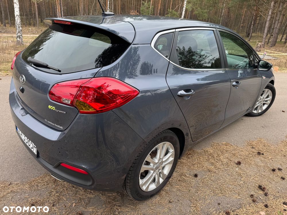Kia Ceed 1.6 CRDi XL - 19