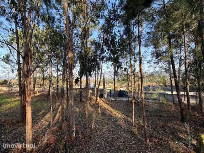 Terreno - Fiscal, Amares - Grande imagem: 5/7