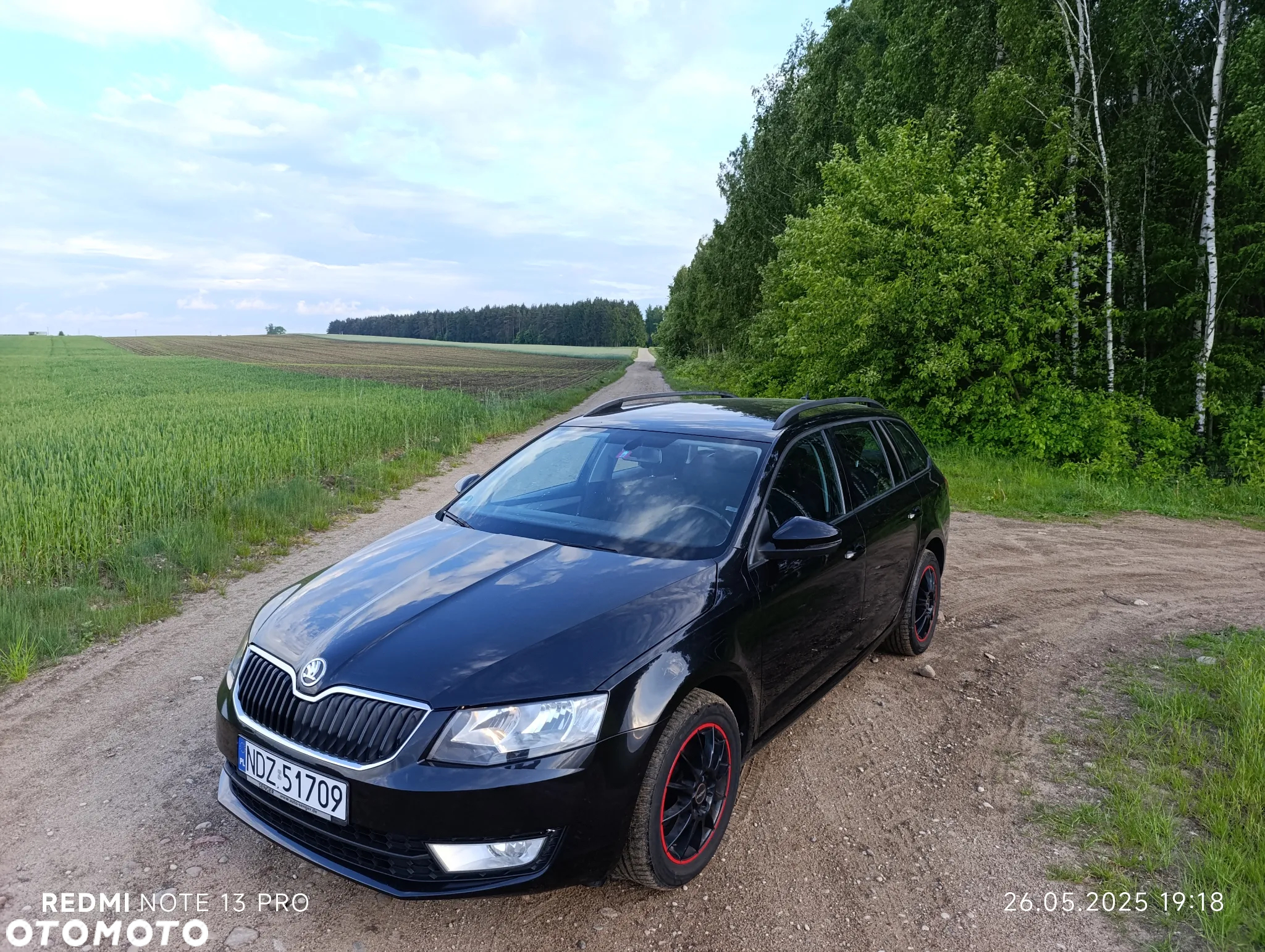 Skoda Octavia 1.6 TDI Ambiente - 8