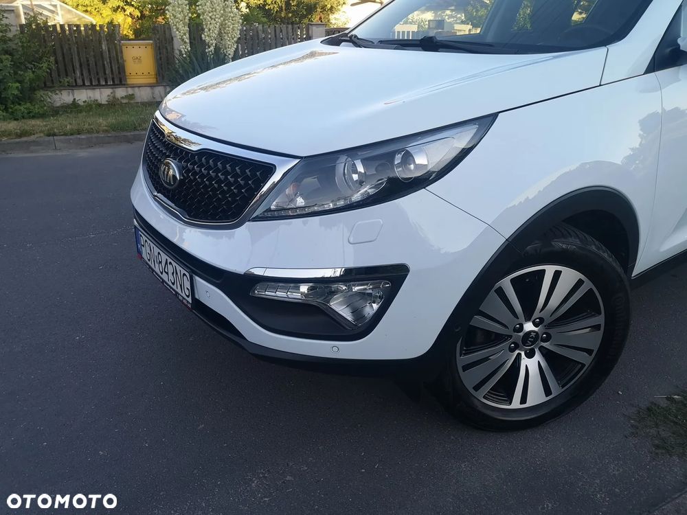 Kia Sportage - 1
