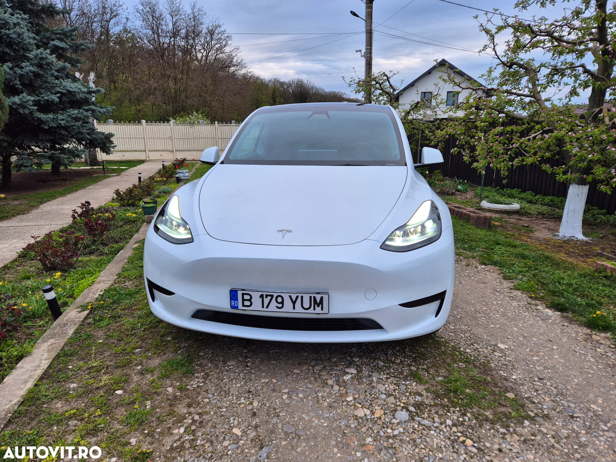 Tesla Model Y - 2