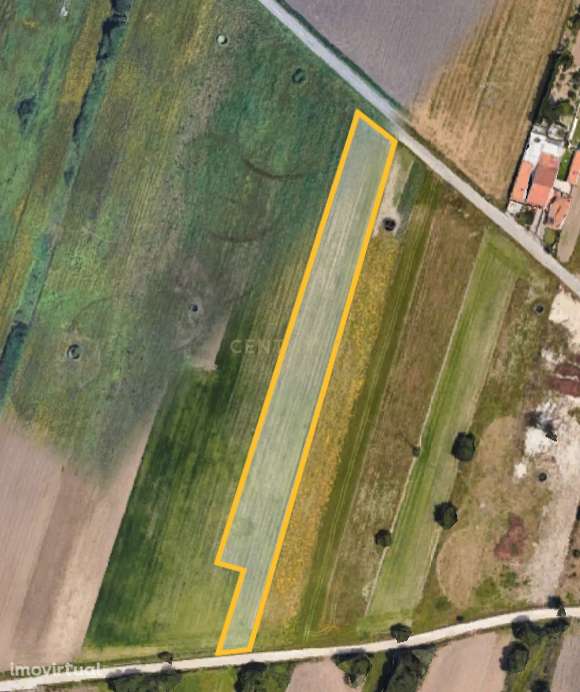 Terreno Rústico com 3.640 m² – Excelente Potencial Futuro | Duas Frent - Grande imagem: 2/5