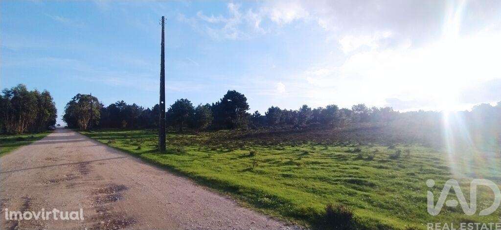 Terreno T1 em Vila do Bispo e Raposeira de 123840,00 m2 - Grande imagem: 5/29