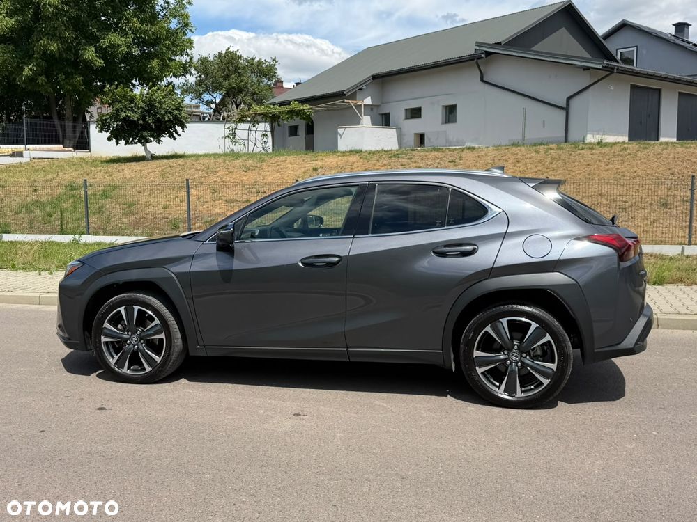 Lexus UX 250h - 13