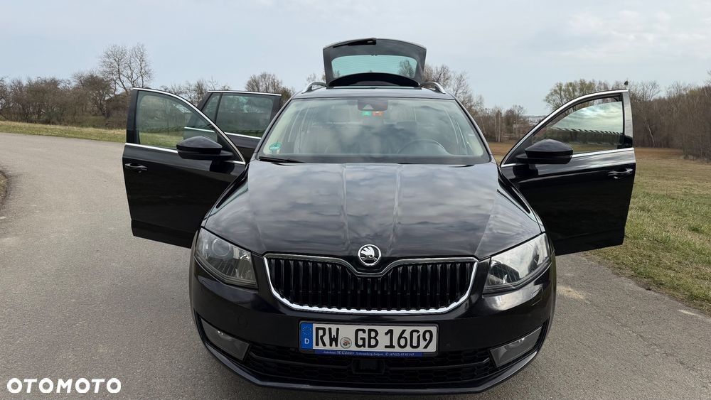 Skoda Octavia 2.0 TDI (Green tec) 4x4 DSG Scout - 24