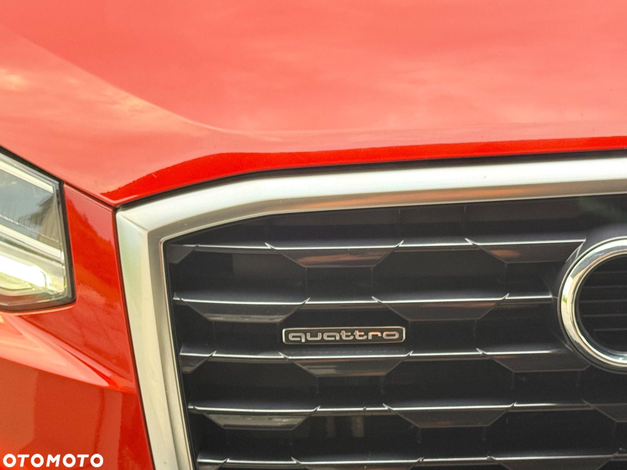 Audi Q2 2.0 TDI quattro S tronic sport - 4
