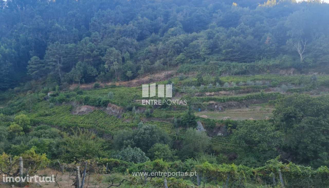 Venda de Terreno, Viariz Baião - Grande imagem: 2/17