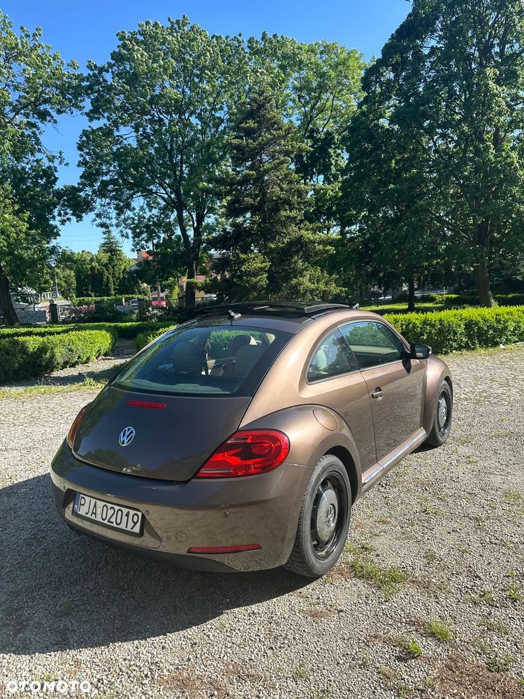Volkswagen Beetle - 8