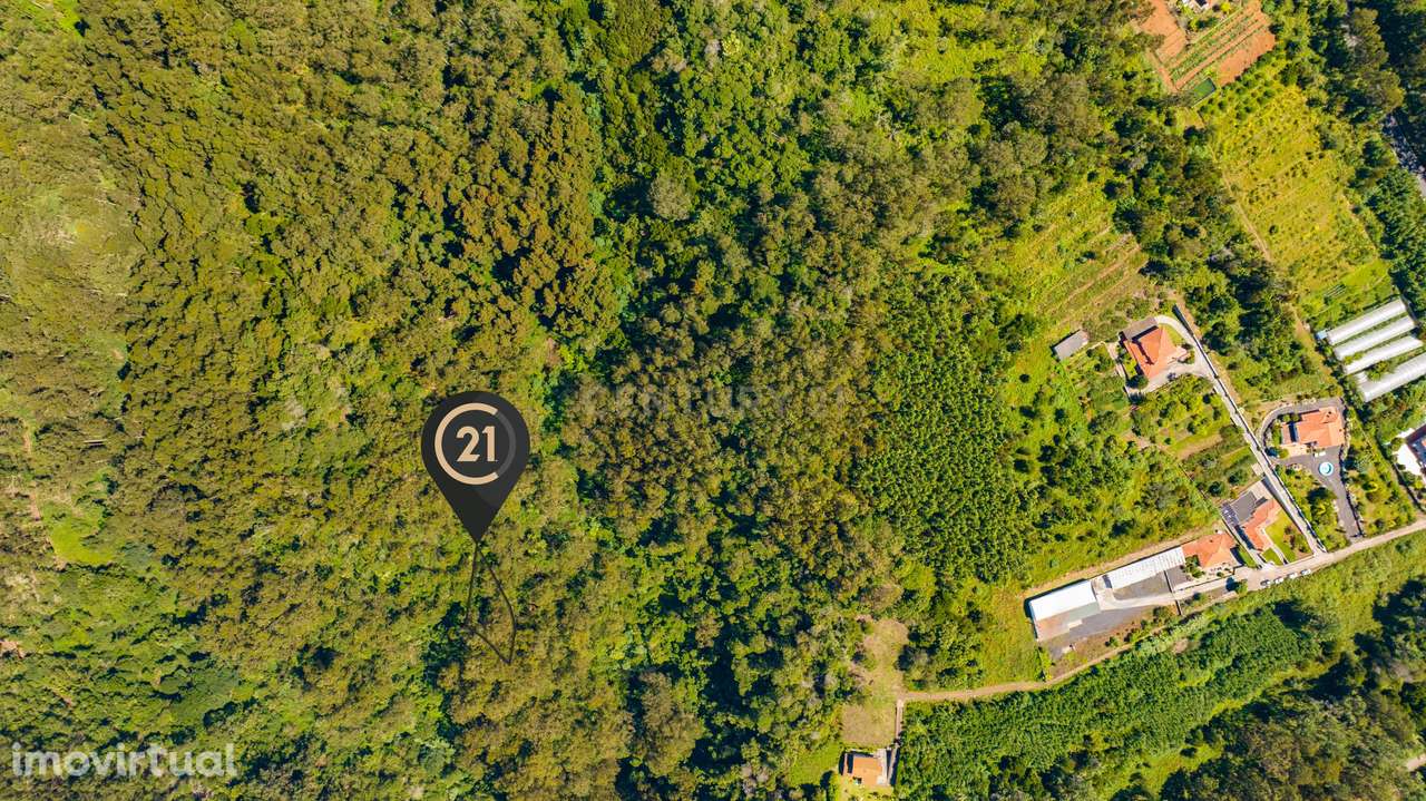 Terreno Rústico para Floresta Mista com 3.265 m2 - Santa Cruz, Madeira - Grande imagem: 2/12
