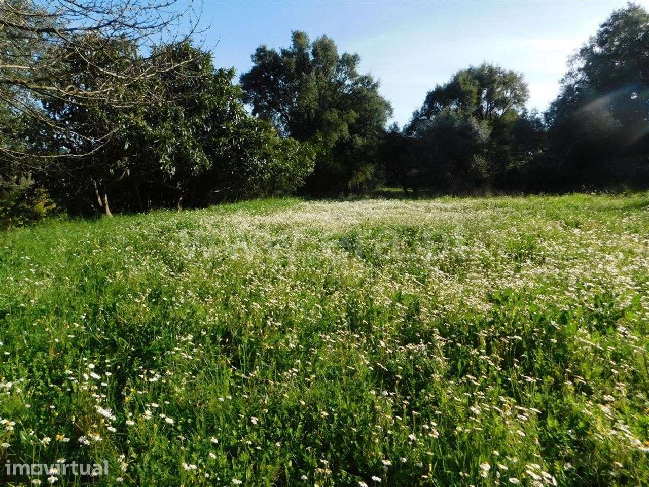 Terreno / Fundão, Telhado - Grande imagem: 3/15