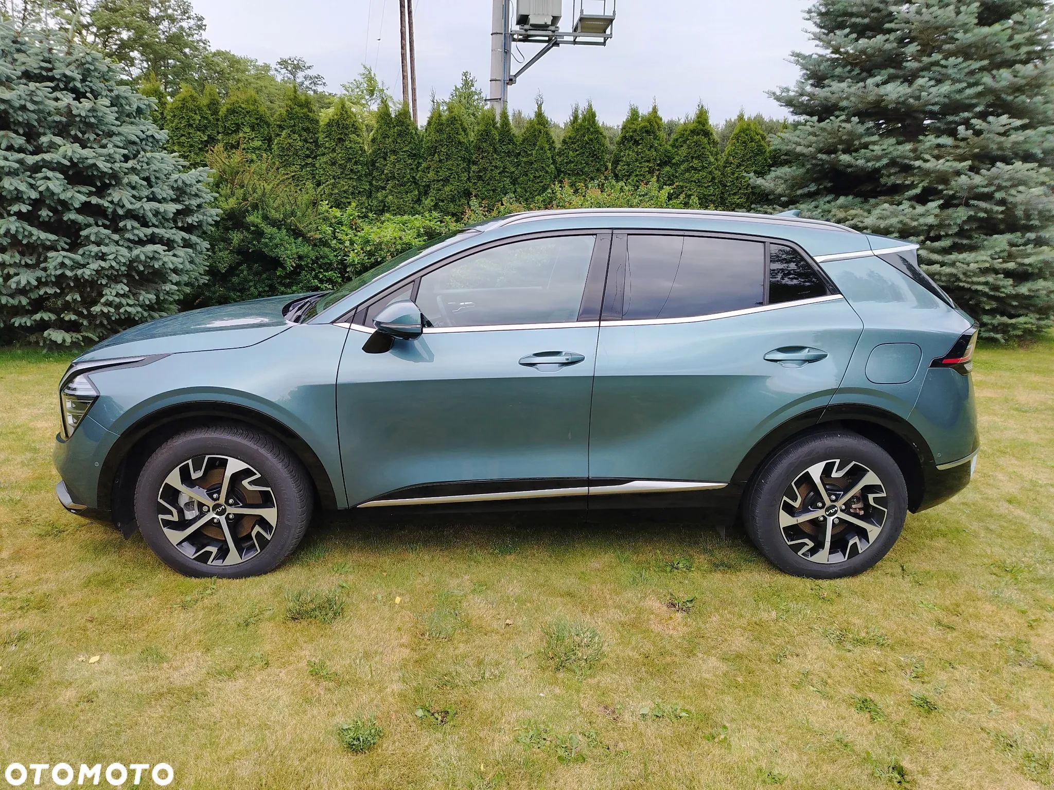 Kia Sportage - 1
