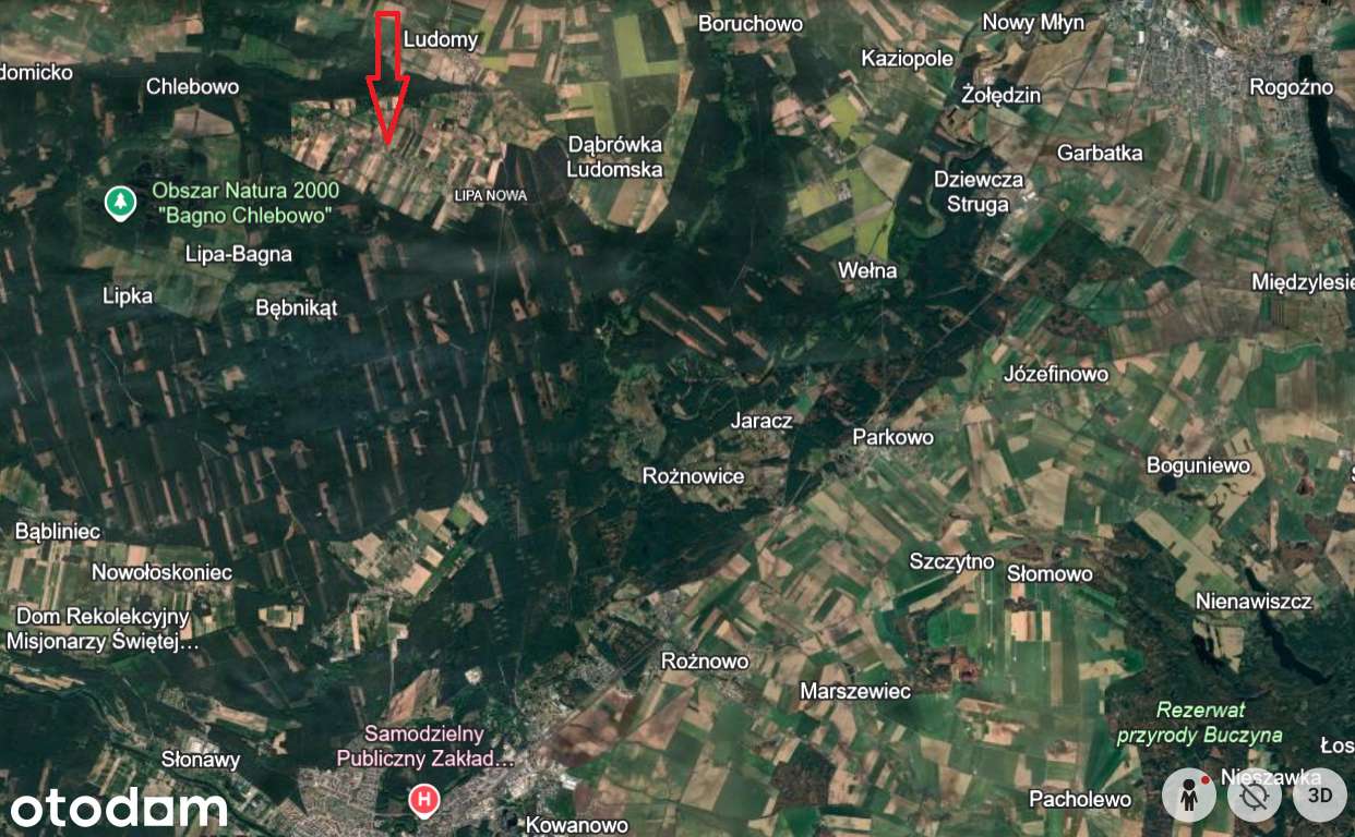 Działka budowlana/Warunki zabudowy/Druga Linia Zabudowy/Cisza/Zieleń - Pełny obrazek: 5/6