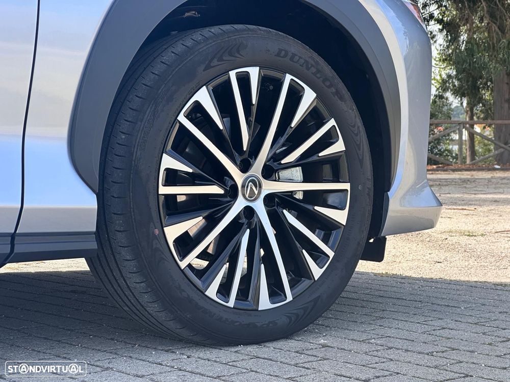 Lexus RZ 300e Premium - 23