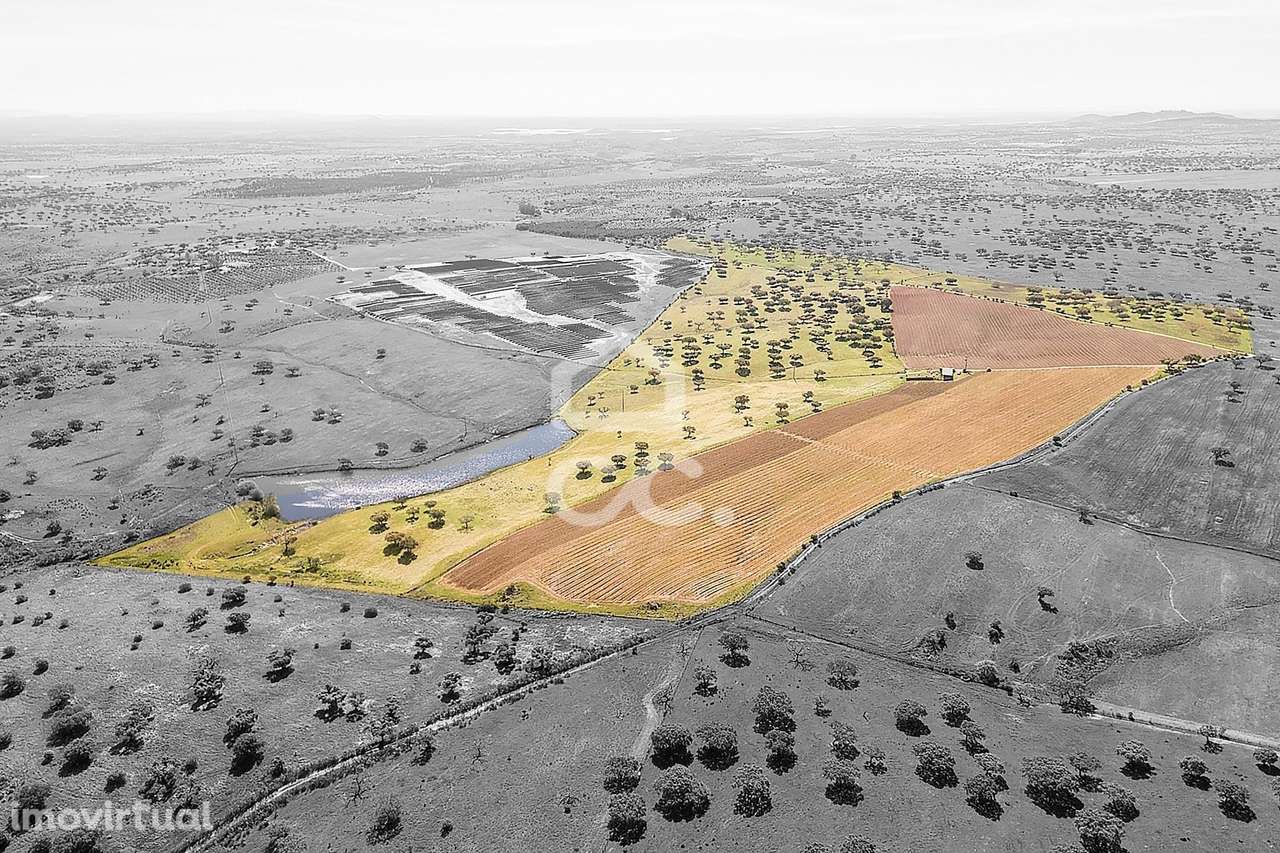 Herdade de 36 ha c/ Vinha, Montado, Recursos Hídricos e Potencial Turí - Grande imagem: 2/60
