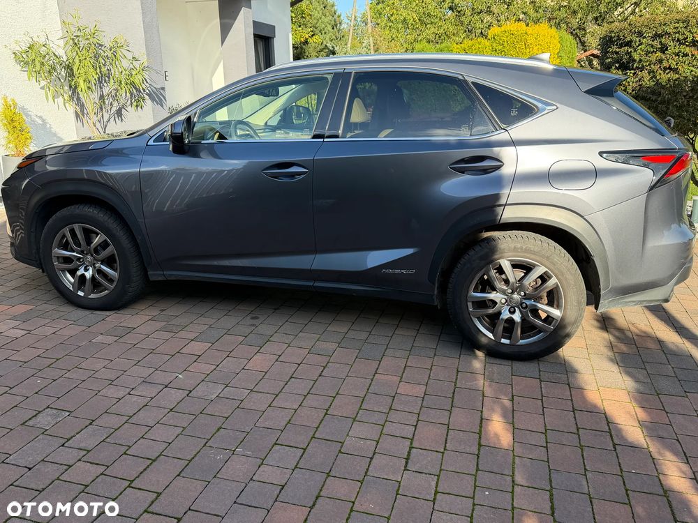 Lexus NX - 6