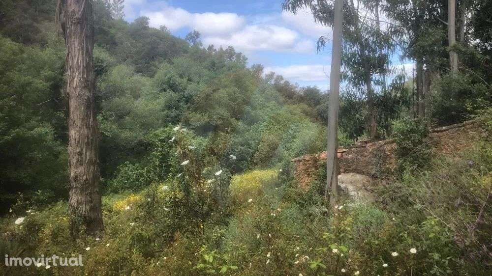 Quintinha Monchique - Grande imagem: 2/13