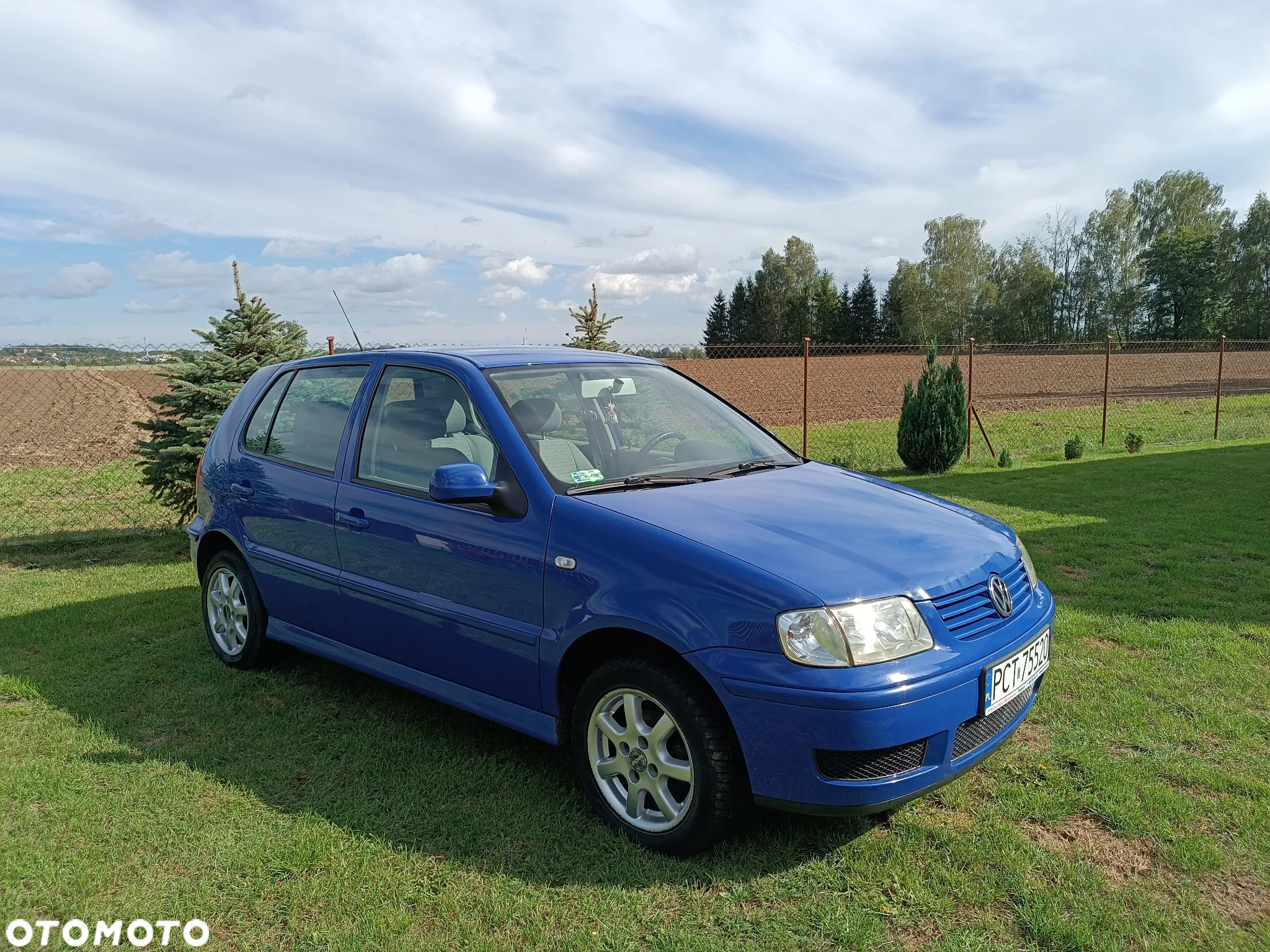 Volkswagen Polo - 5