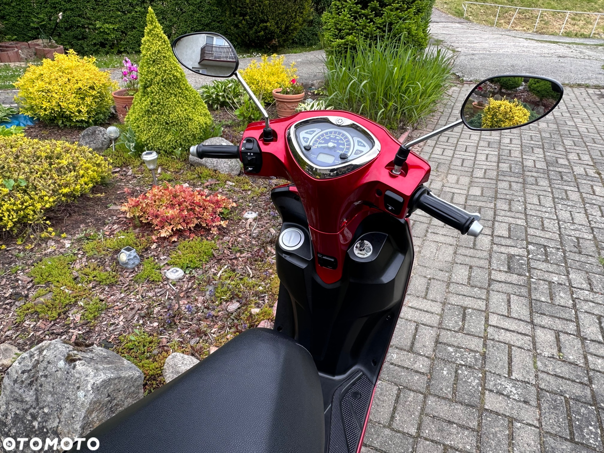 Yamaha D'elight - 19